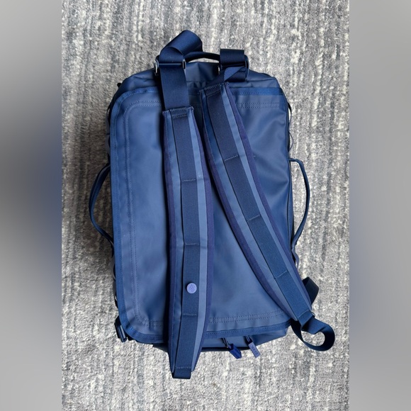 Bonobo - Picture 5 of 5